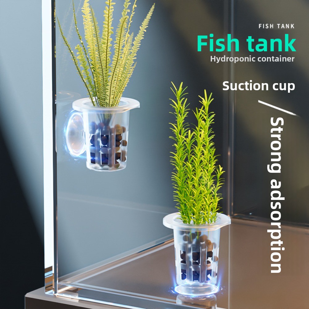 10Pcs Transparent Plant Hydrop - Hydroponic Grow Pod ulasan dan harga