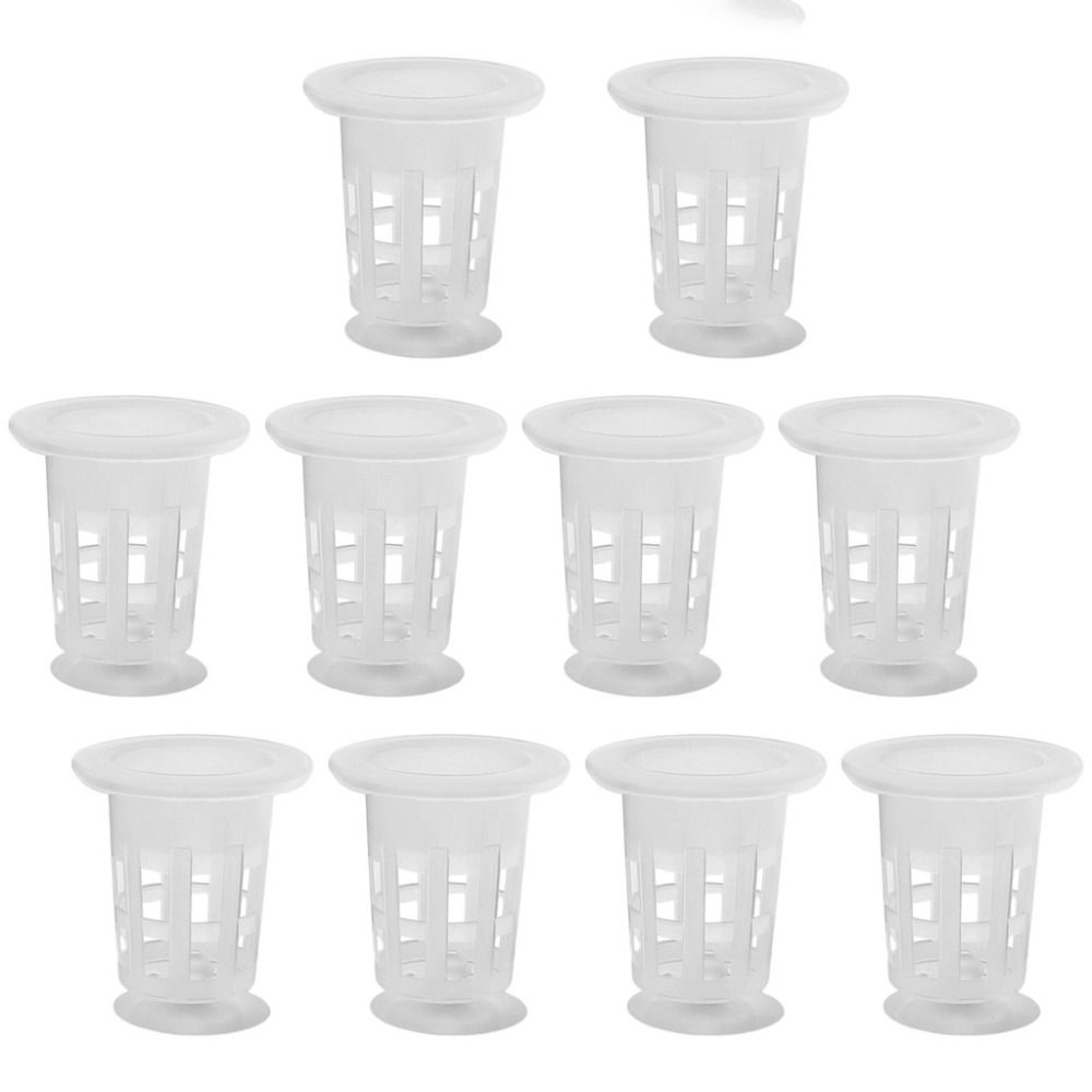 10Pcs Transparent Plant Hydrop - Hydroponic Grow Pod ulasan dan harga
