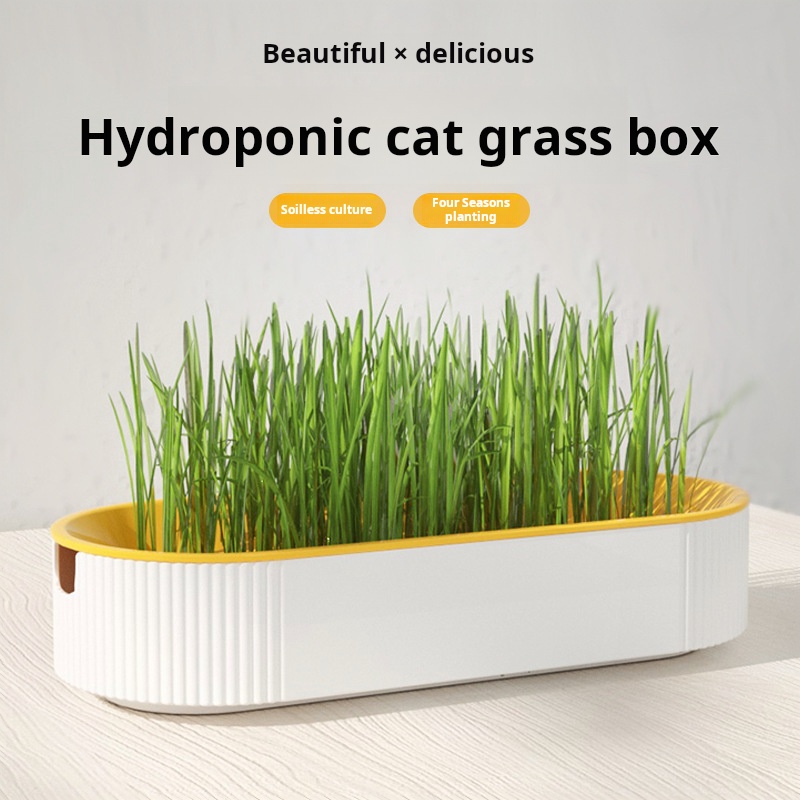 Easy Growth Hydroponic Cat Gra - Hydroponic Grow Pod ulasan dan harga