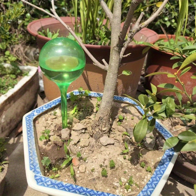 6PCS Indoor Plants Self Wateri - Smart Garden Project ulasan dan harga