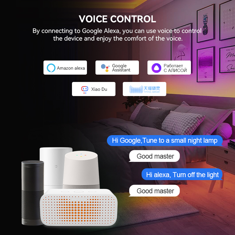 2.4G WiFi RGB SPI Controller T - Smart Garden Light Controller ulasan dan harga