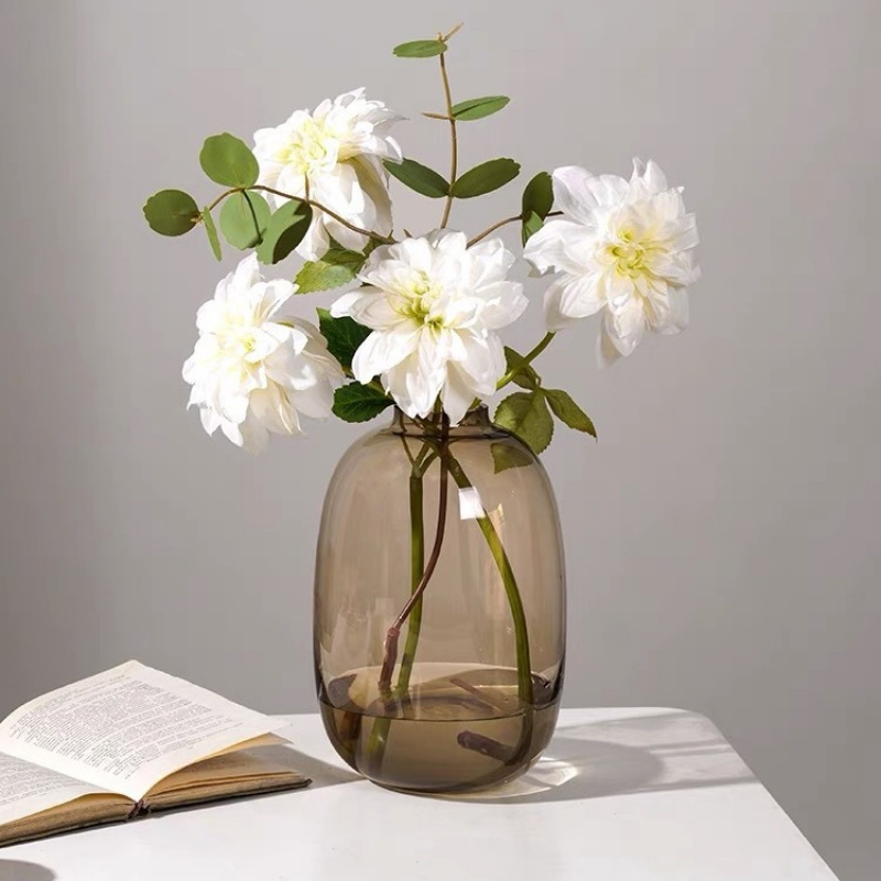 Transparent Glass Vase, Office - Hydroponic Grow Pod ulasan dan harga