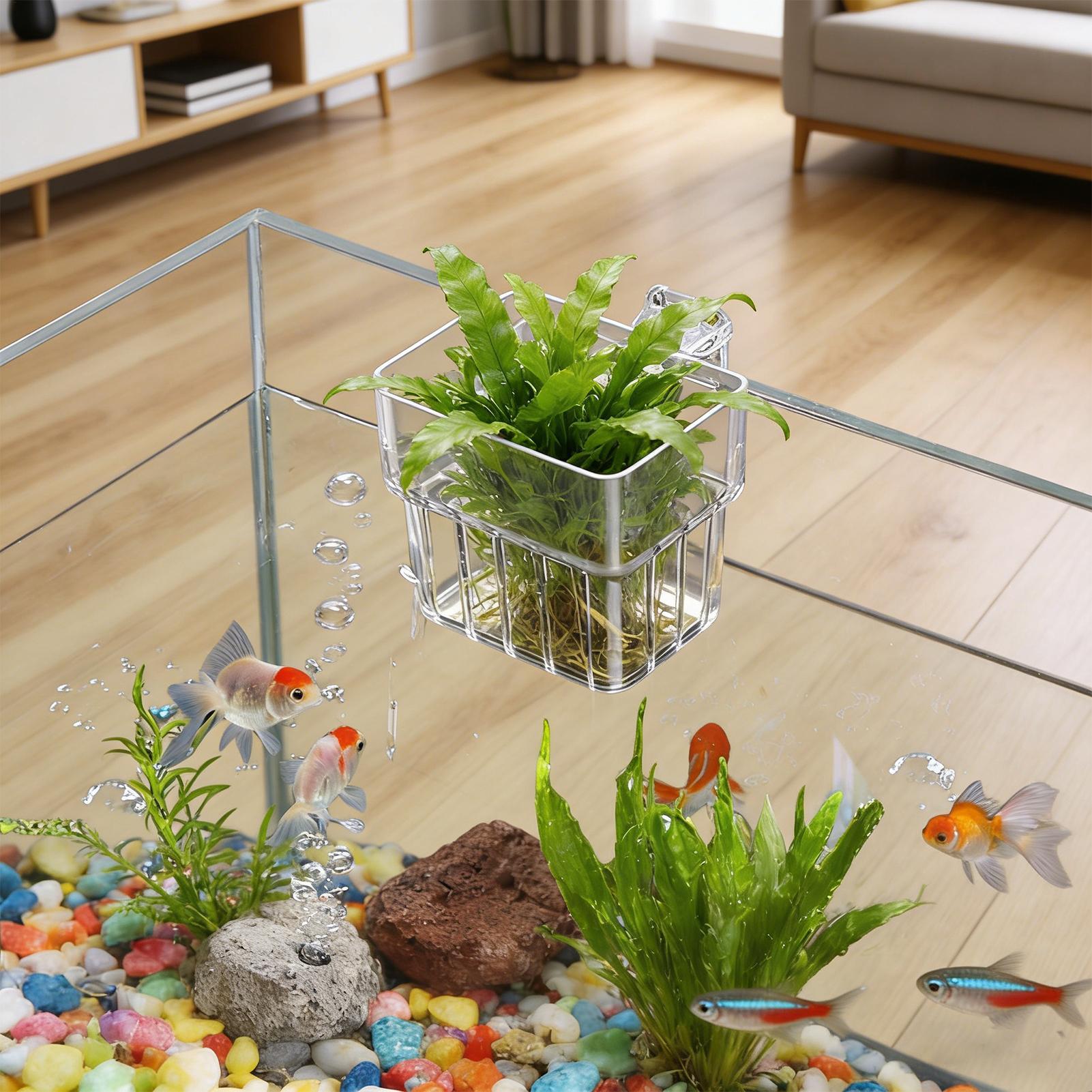 Transparent Hangable Aquarium  - Hydroponic Grow Pod ulasan dan harga
