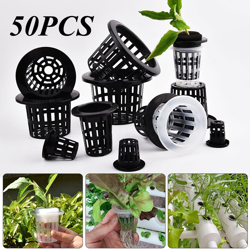 50Pcs Black White Soilless Mes - Hydroponic Grow Pod ulasan dan harga