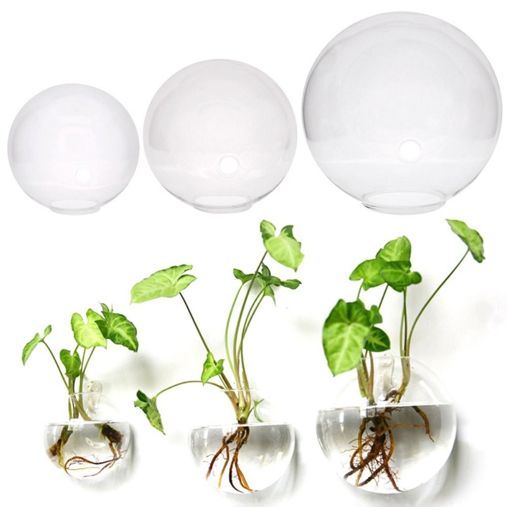 Transparent Glass Vase Wall Ha - Hydroponic Grow Pod ulasan dan harga