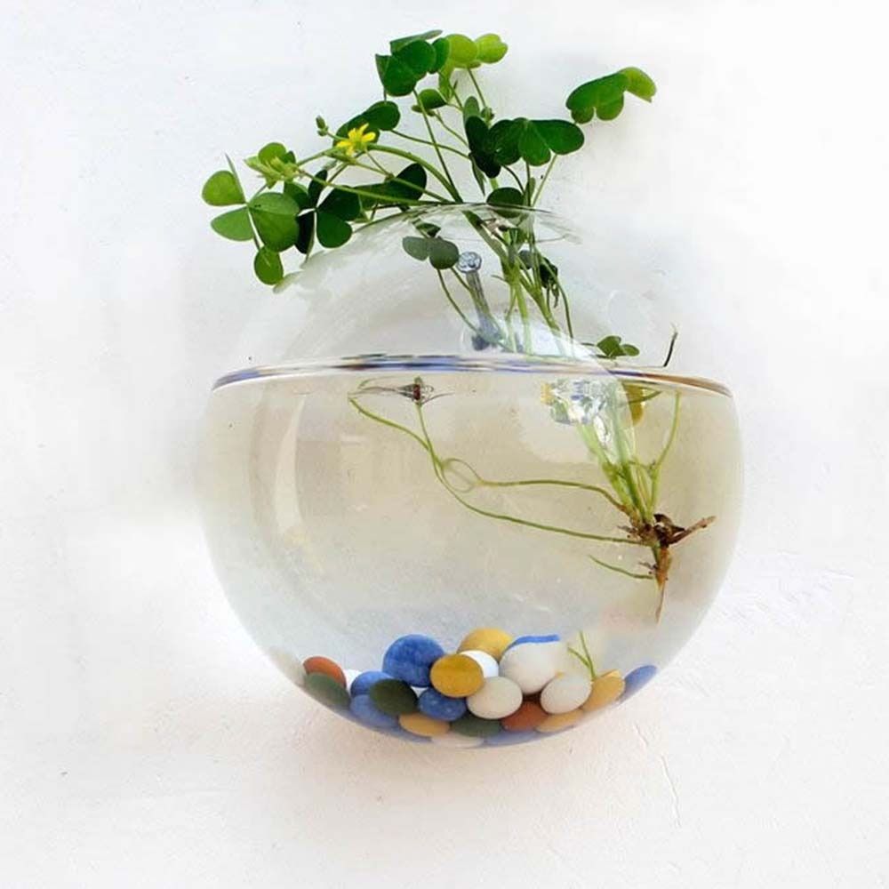 Transparent Glass Vase Wall Ha - Hydroponic Grow Pod ulasan dan harga