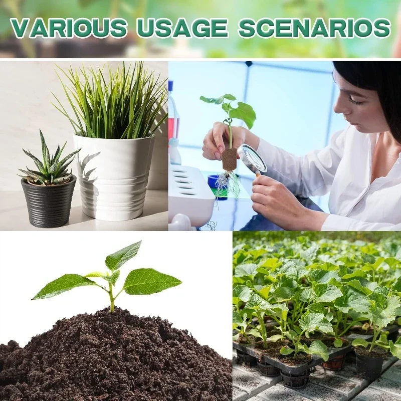 Seedling Starter Sponge Kit fo - Hydroponic Grow Pod ulasan dan harga