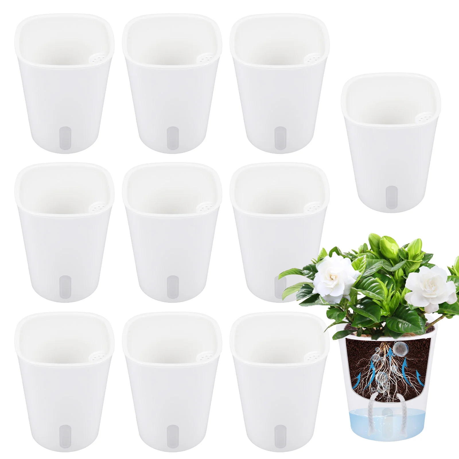 10 Pcs Self Watering Planter L - Hydroponic Grow Pod ulasan dan harga