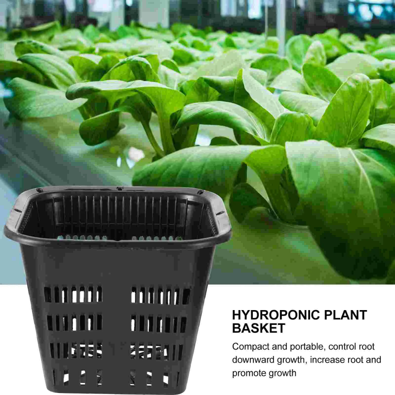 6Pcs Hydroponic Grow Baskets,  - Hydroponic Grow Pod ulasan dan harga