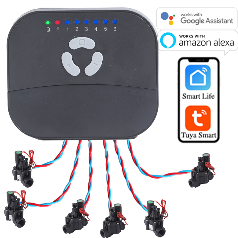 6 Zone WIFI Connect Tuya Smart - Smart Garden Sphagnum Moss ulasan dan harga