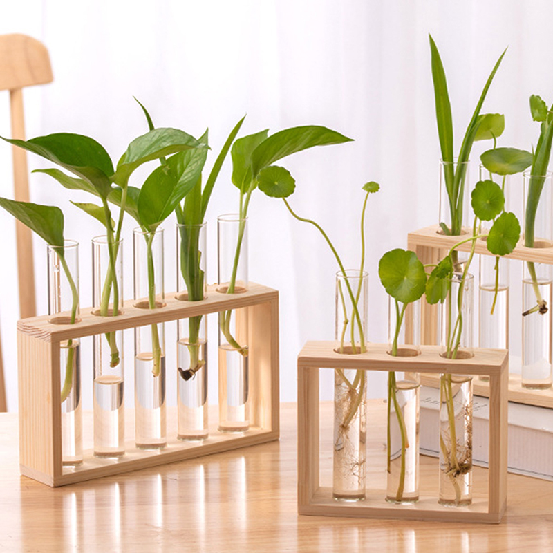 Hydroponic Plants Container wi - Hydroponic Grow Pod ulasan dan harga