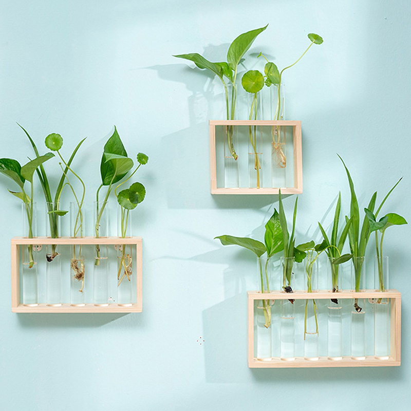 Hydroponic Plants Container wi - Hydroponic Grow Pod ulasan dan harga