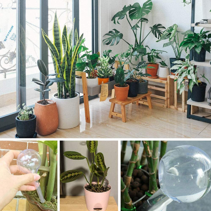 5/10PCS Automatic Plant Wateri - Smart Garden Project ulasan dan harga