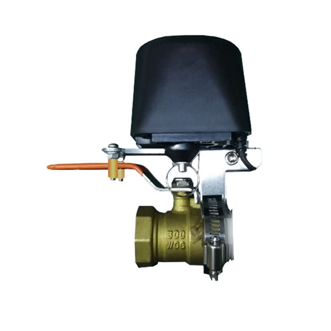 (A02R] Tuya Smart WiFi Water V - Smart Garden Is ulasan dan harga